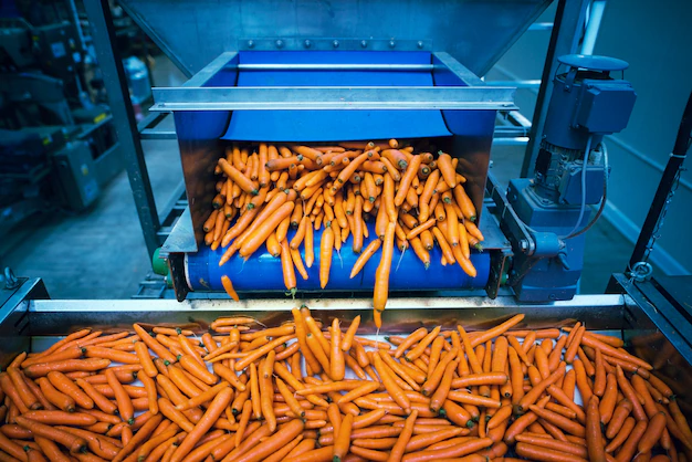 carrots processing