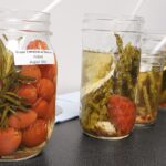 pickling food preservation examples